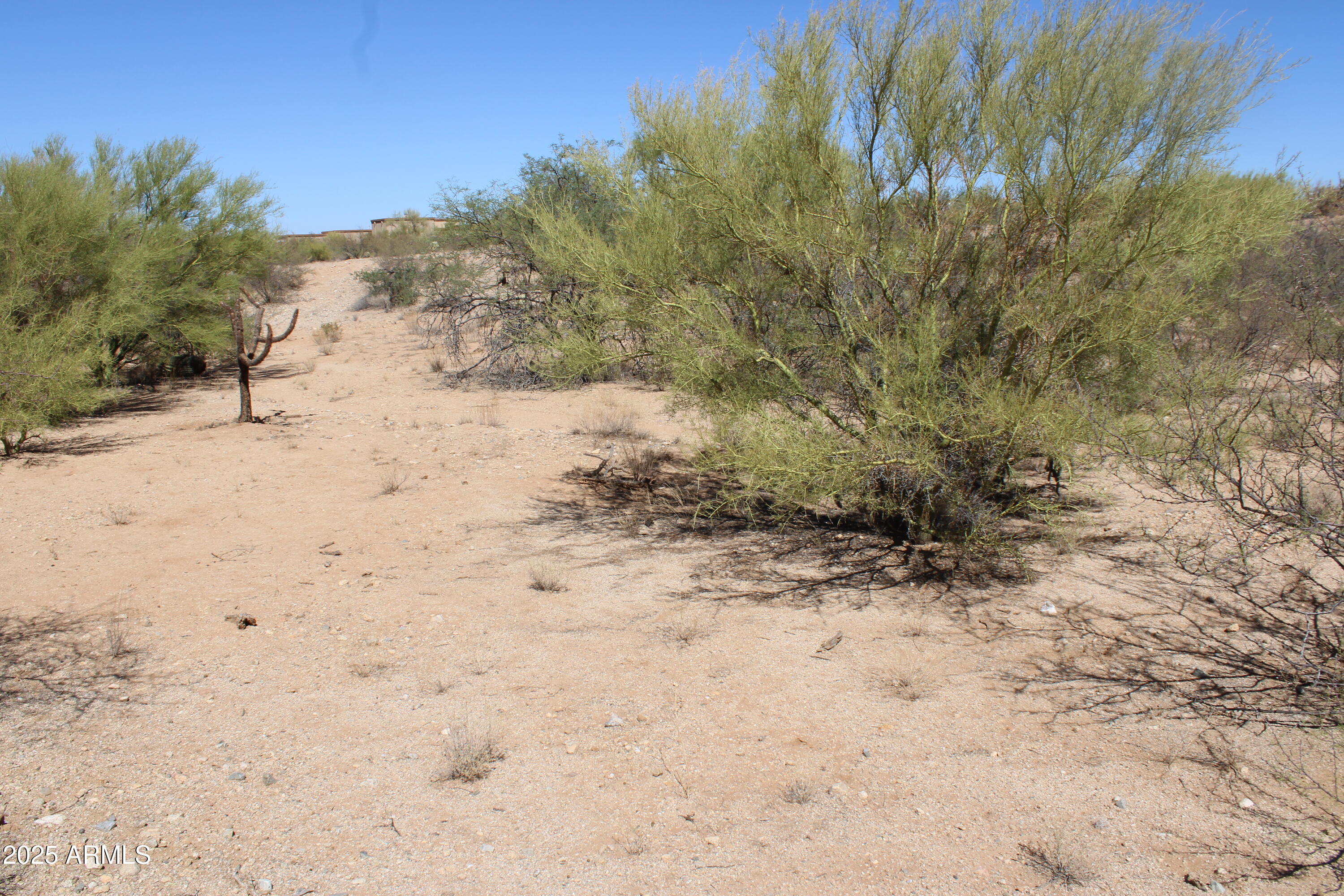 14223 South Shaw Road, Unit 330 Tucson, AZ 85736 - Photo 3 of 7 IMG_2376