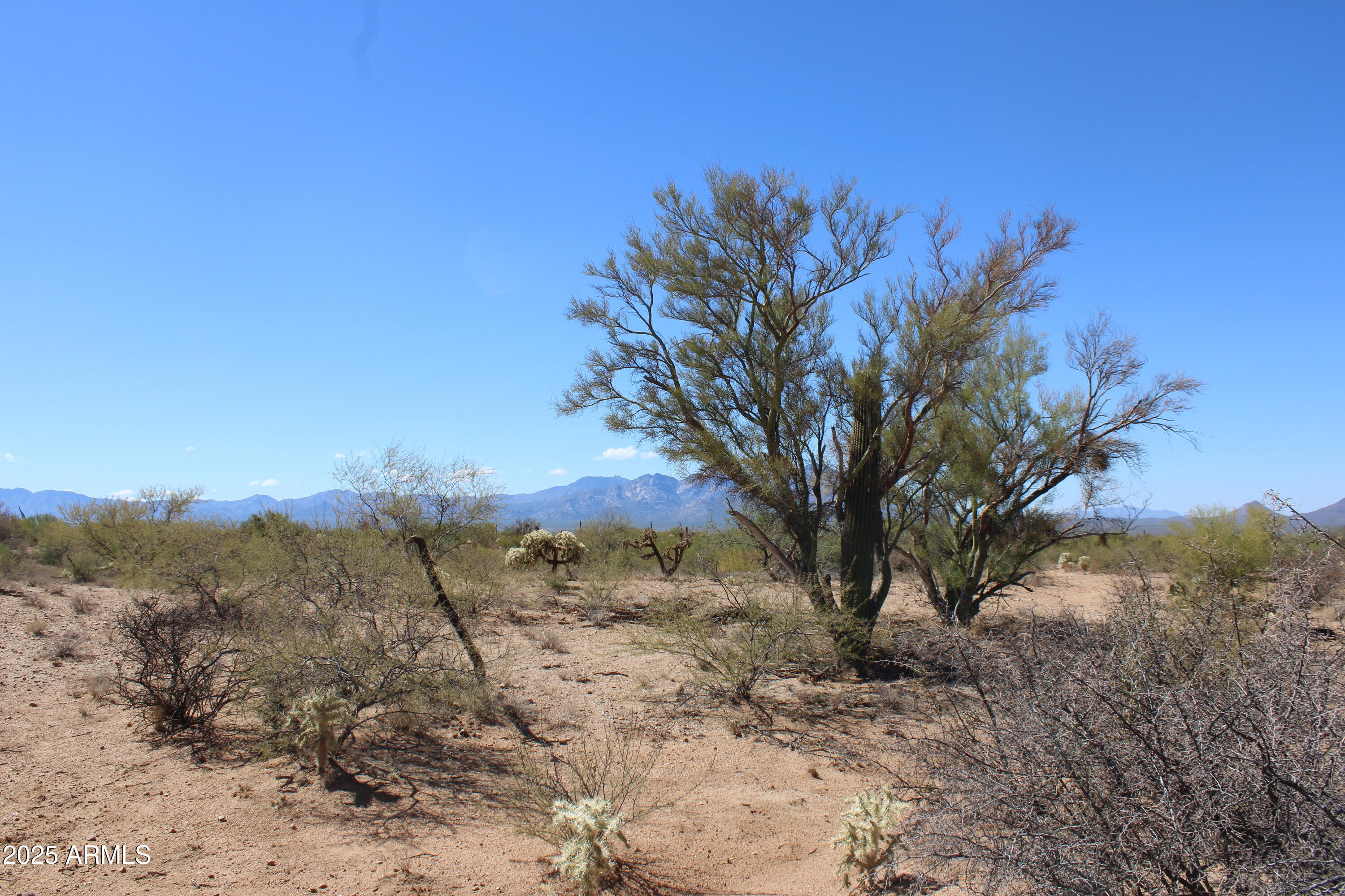 14223 South Shaw Road, Unit 330 Tucson, AZ 85736 - Photo 5 of 7 IMG_2383