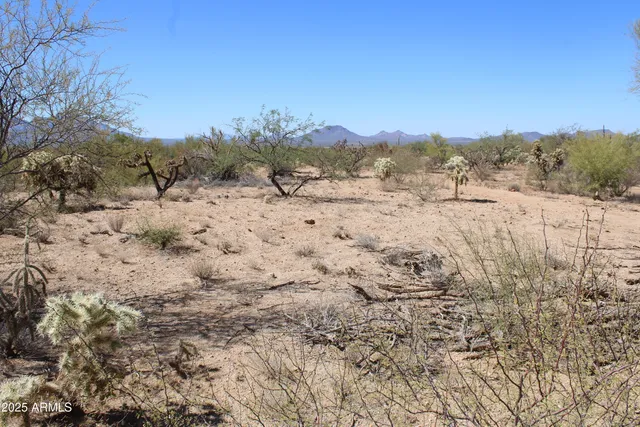 a view of mountain view with lots of trees