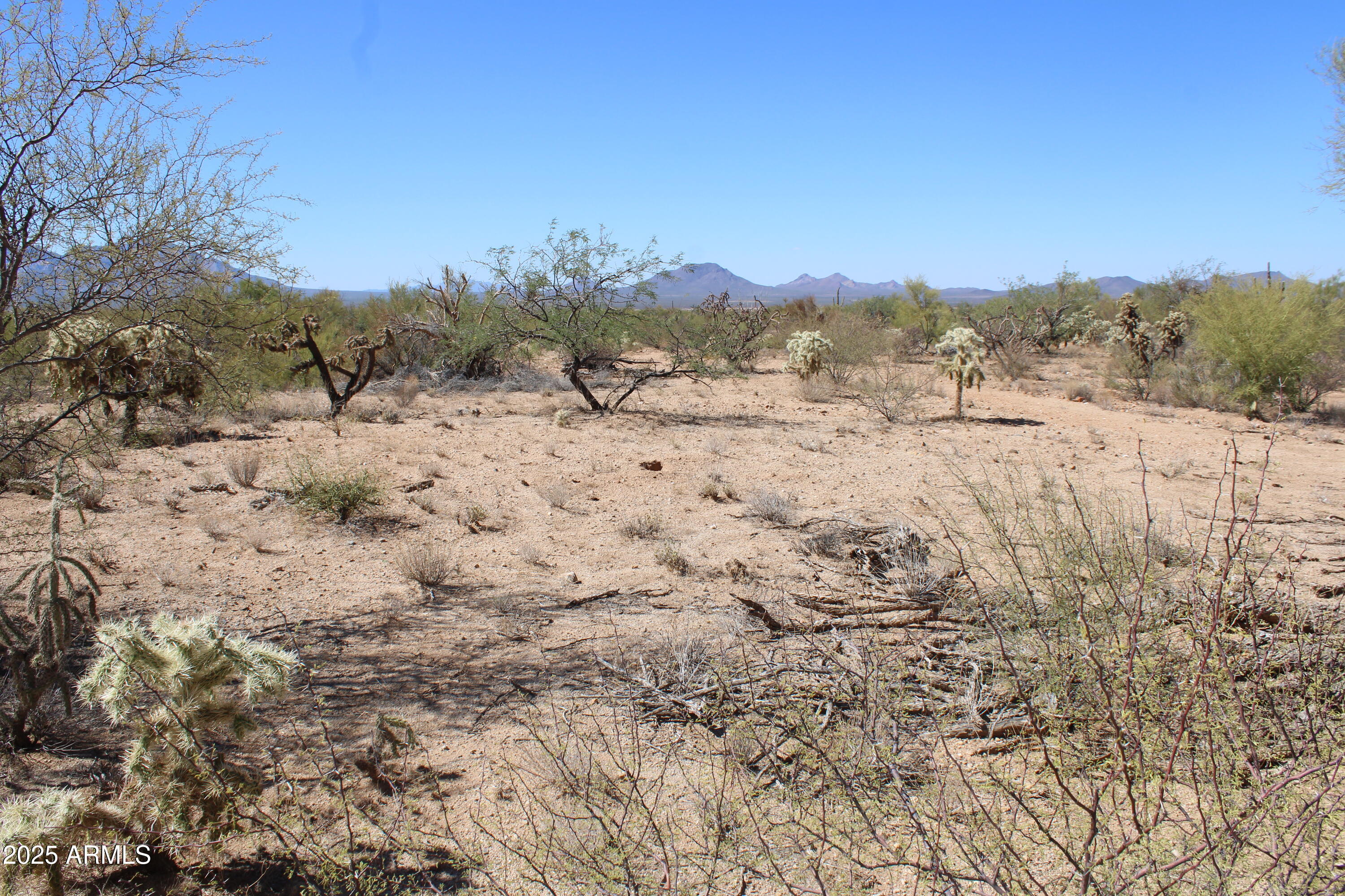 14223 South Shaw Road, Unit 330 Tucson, AZ 85736 - Photo 7 of 7 IMG_2385