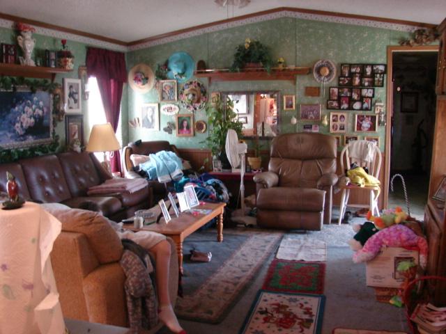 610 Hill Top Road Red Boiling Springs, TN 37150 - Photo 3 of 16
