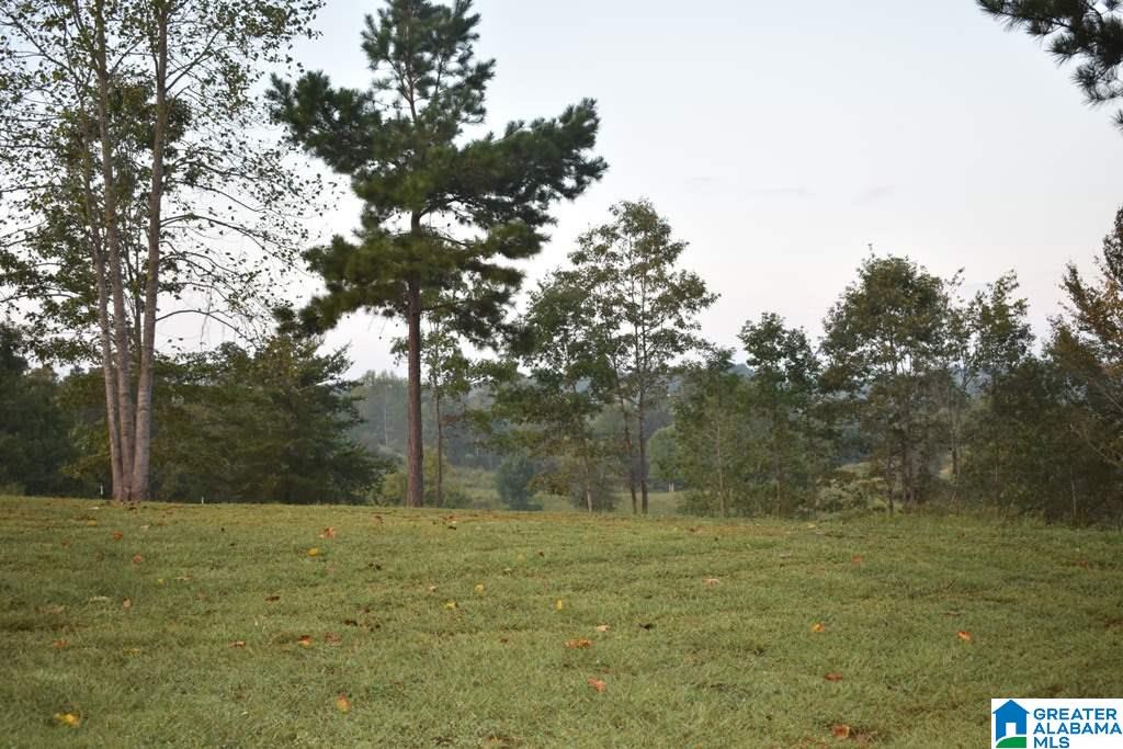 1175 County Road 459 Heflin, AL 36264 - Photo 20 of 21