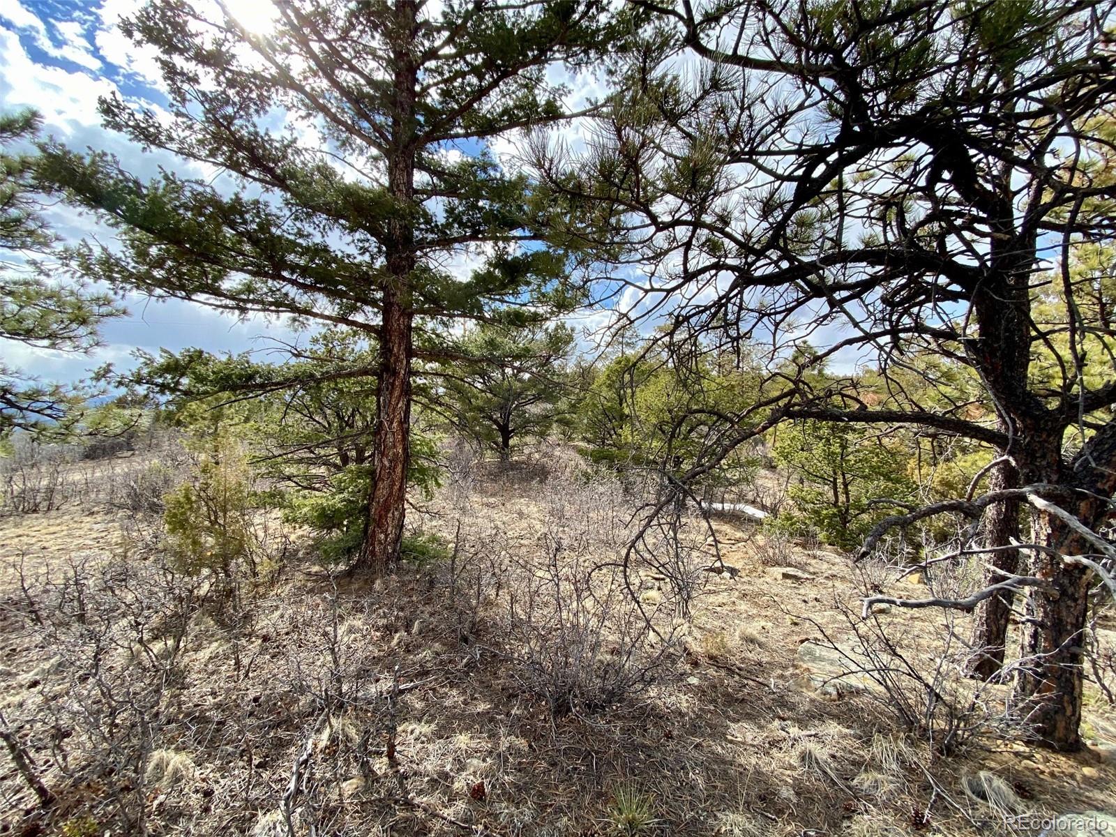 8115 Gun Barrel Ridge Weston, CO 81091 - Photo 11 of 24 Gallery Image 11