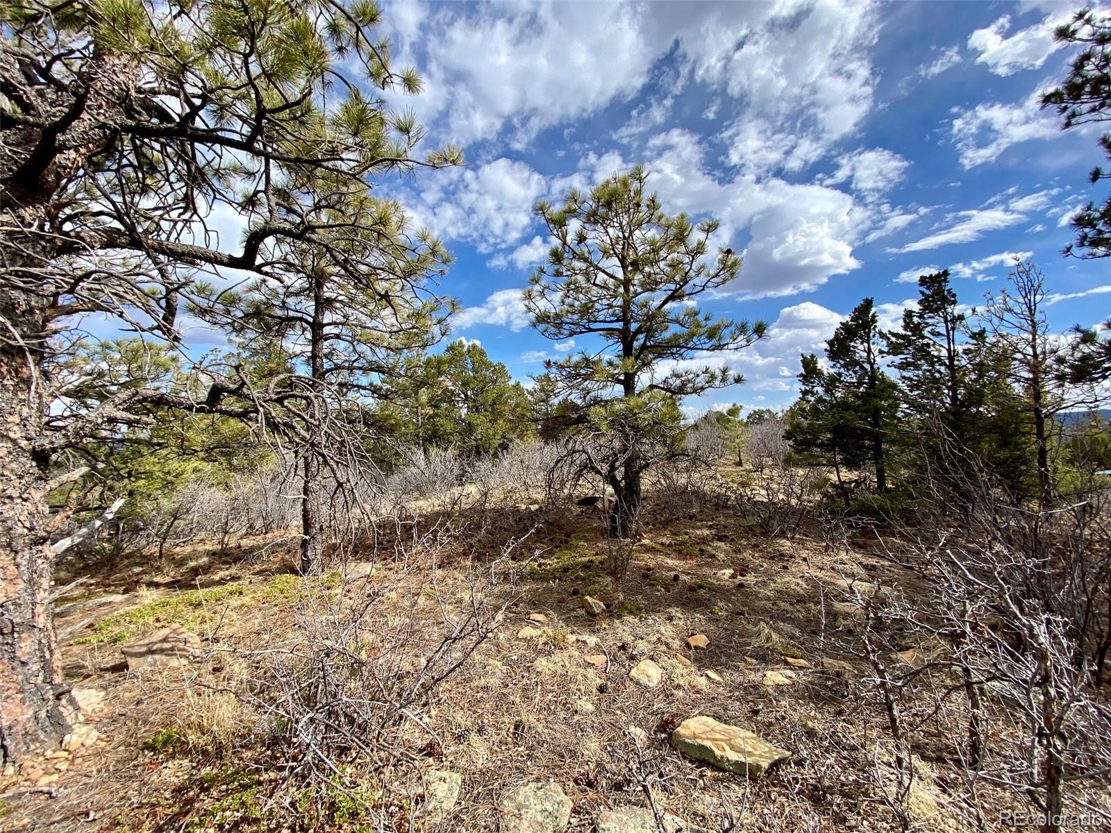 8115 Gun Barrel Ridge Weston, CO 81091 - Photo 12 of 24 Gallery Image 12
