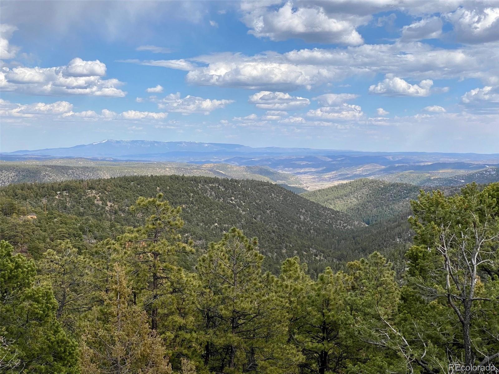 8115 Gun Barrel Ridge Weston, CO 81091 - Photo 14 of 24 Gallery Image 14