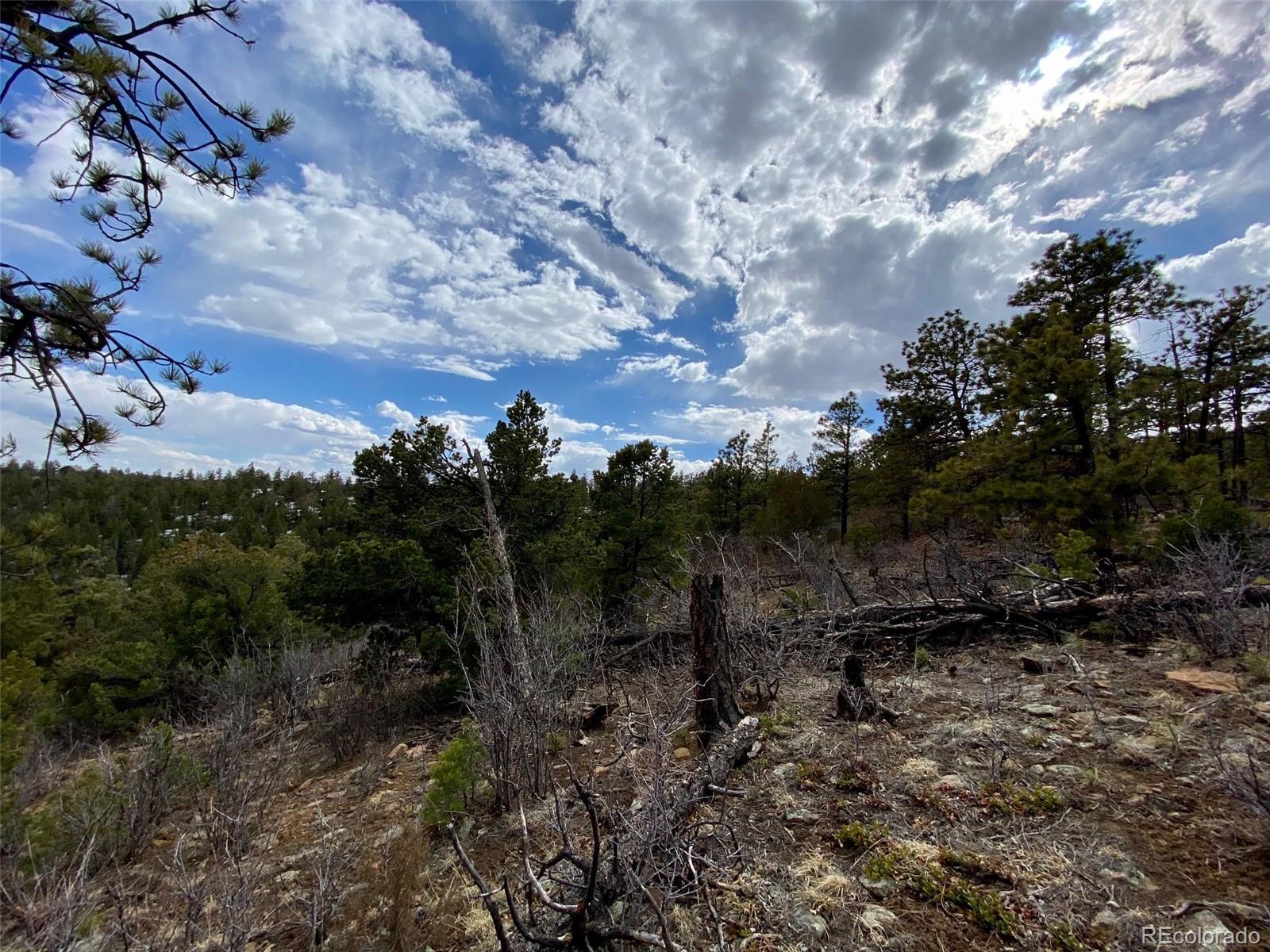8115 Gun Barrel Ridge Weston, CO 81091 - Photo 17 of 24 Gallery Image 17
