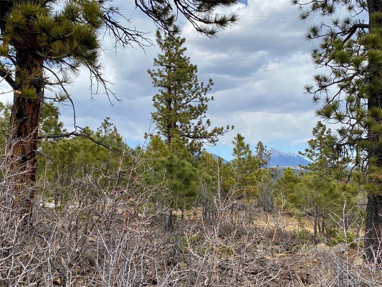 8115 Gun Barrel Ridge Weston, CO 81091 - Photo 19 of 24 Gallery Image 19