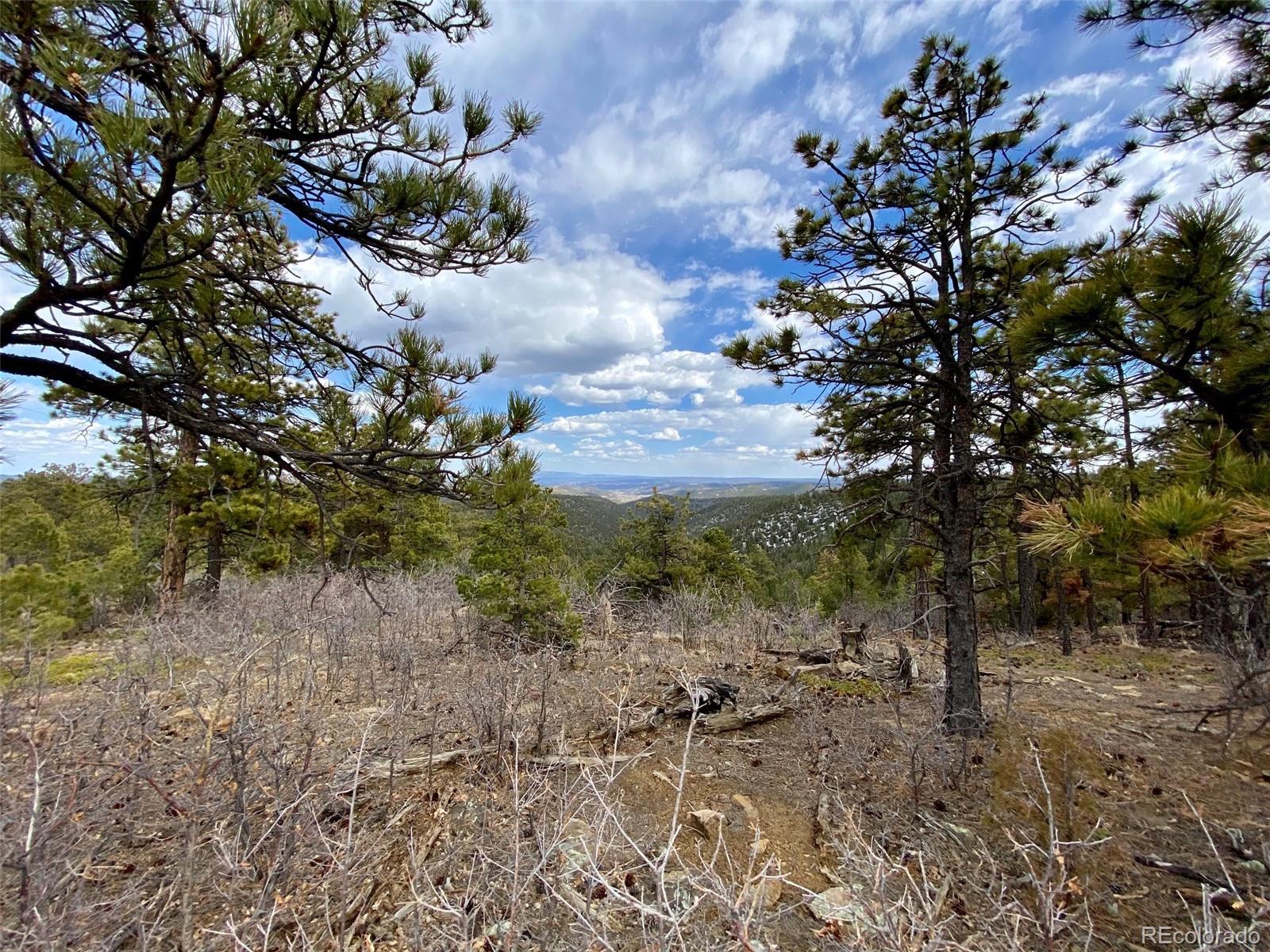 8115 Gun Barrel Ridge Weston, CO 81091 - Photo 20 of 24 Gallery Image 20