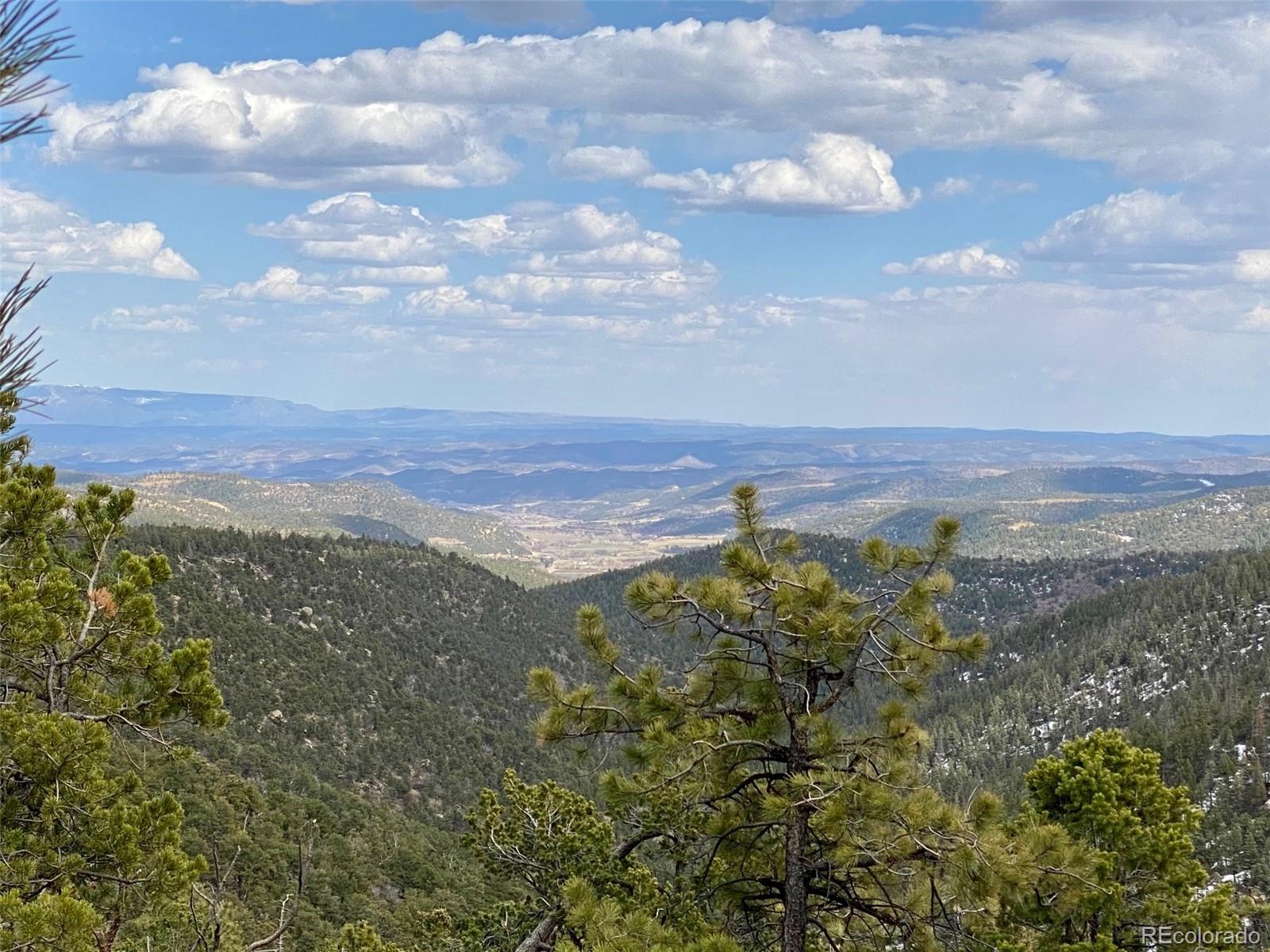 8115 Gun Barrel Ridge Weston, CO 81091 - Photo 21 of 24 Gallery Image 21