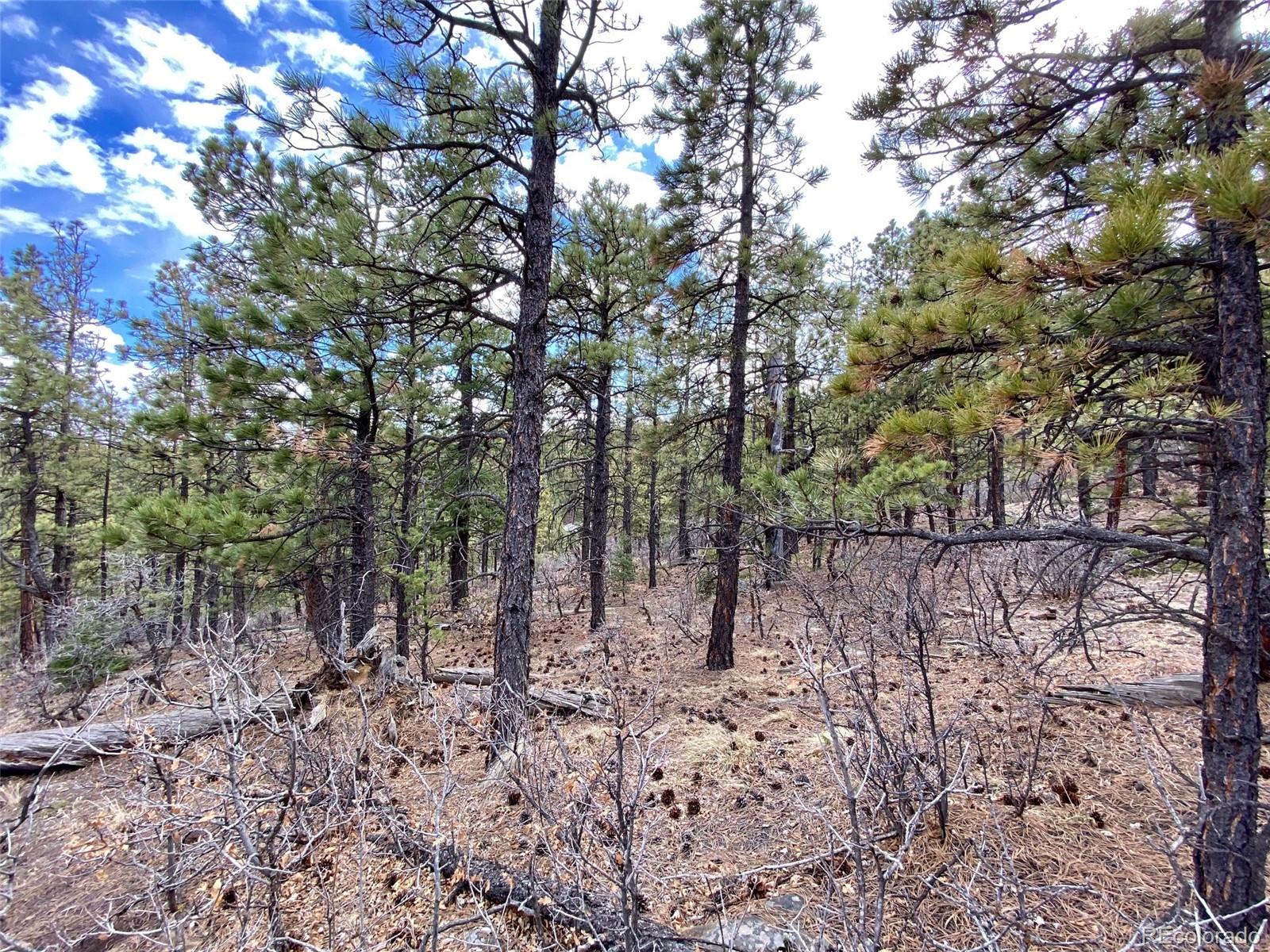 8115 Gun Barrel Ridge Weston, CO 81091 - Photo 22 of 24 Gallery Image 22