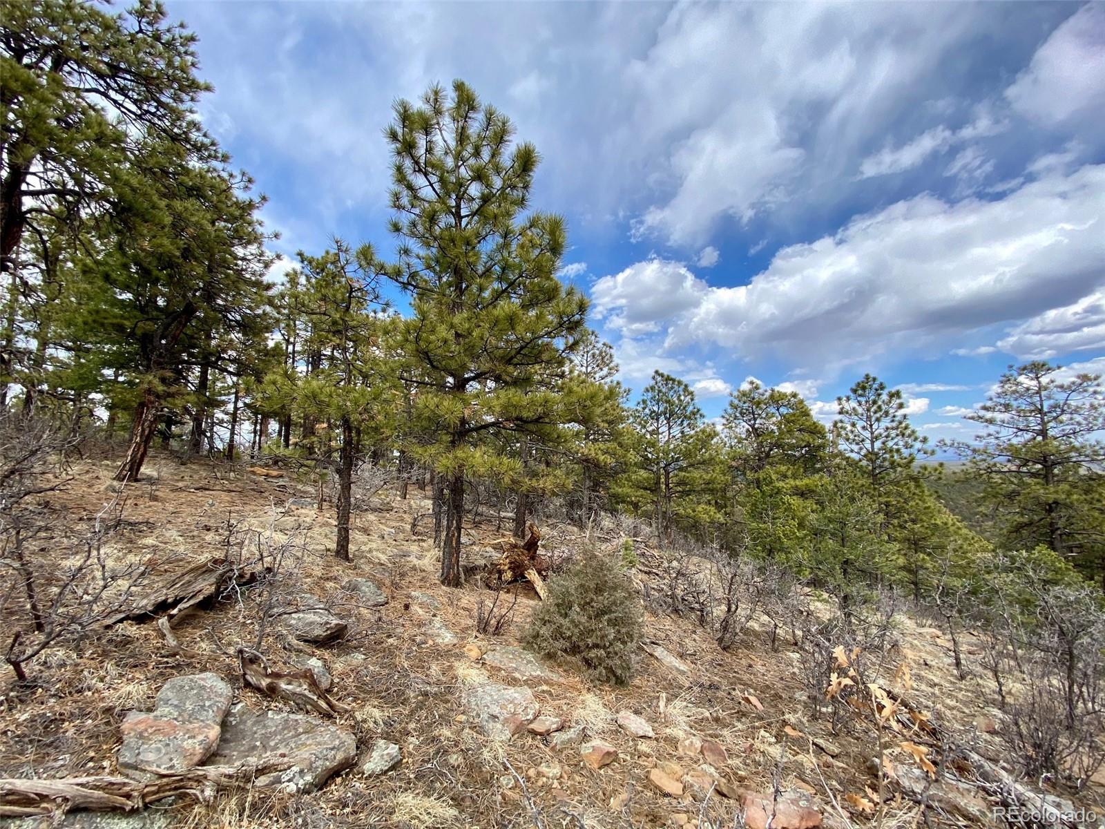 8115 Gun Barrel Ridge Weston, CO 81091 - Photo 23 of 24 Gallery Image 23