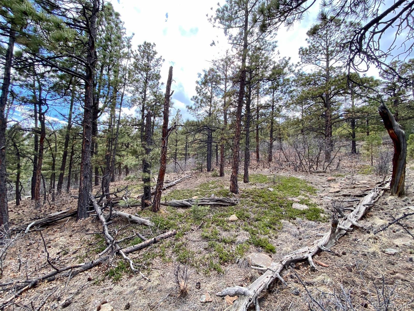 8115 Gun Barrel Ridge Weston, CO 81091 - Photo 24 of 24 Gallery Image 24