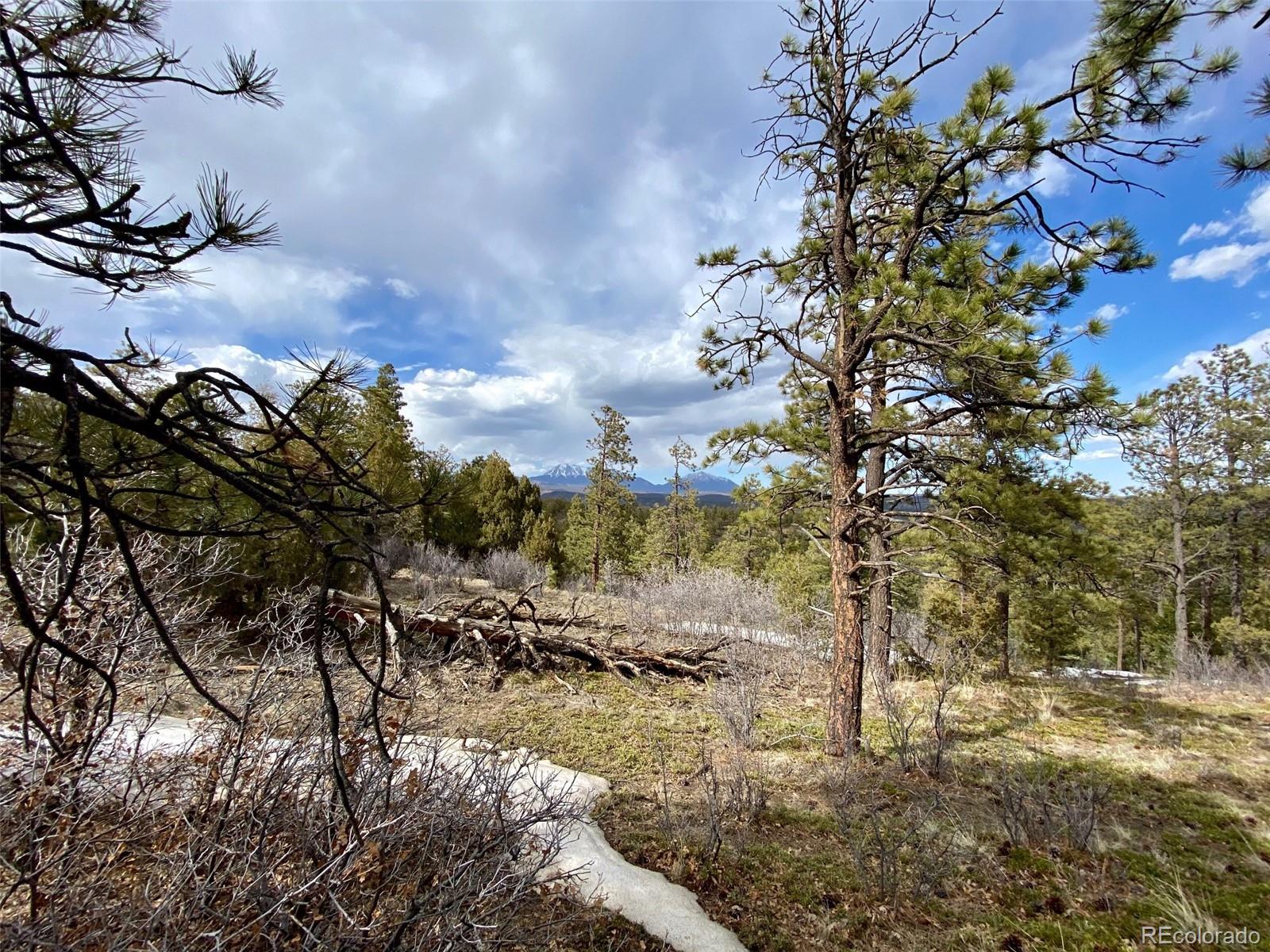 8115 Gun Barrel Ridge Weston, CO 81091 - Photo 3 of 24 Gallery Image 3