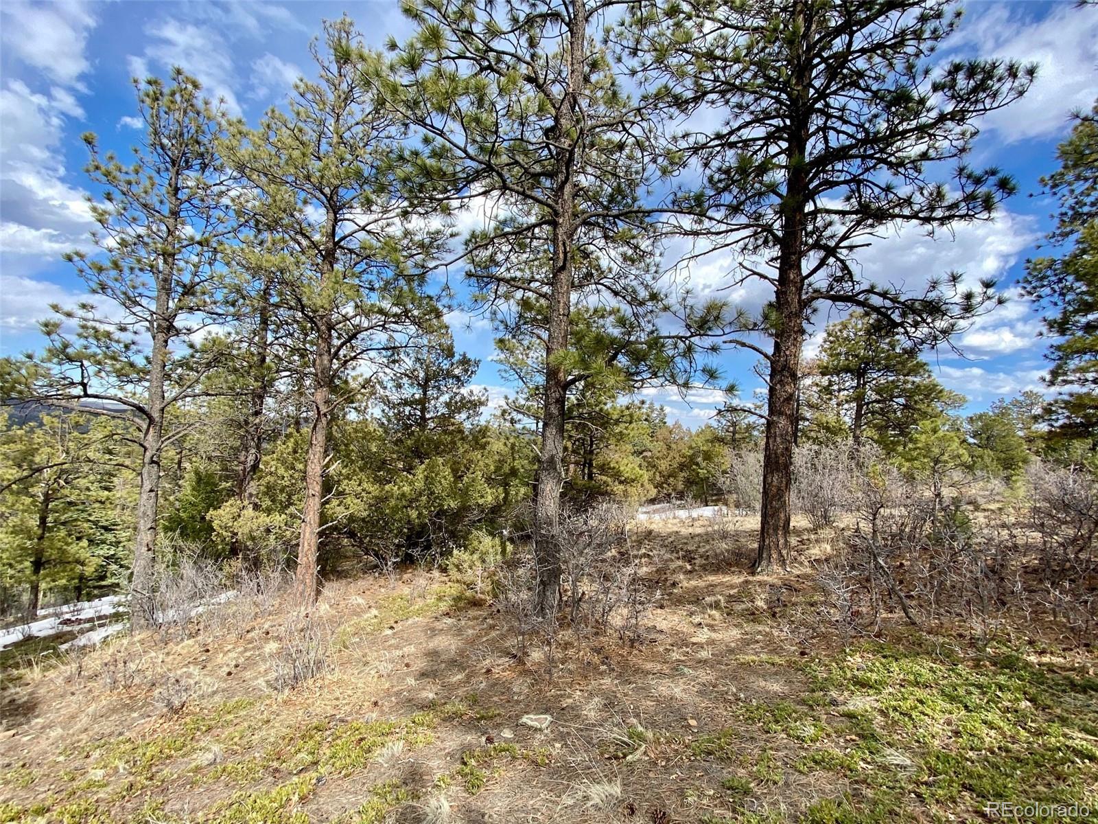 8115 Gun Barrel Ridge Weston, CO 81091 - Photo 4 of 24 Gallery Image 4