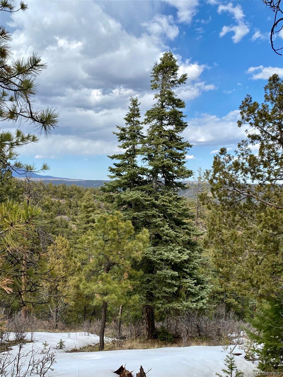 8115 Gun Barrel Ridge Weston, CO 81091 - Photo 5 of 24 Gallery Image 5