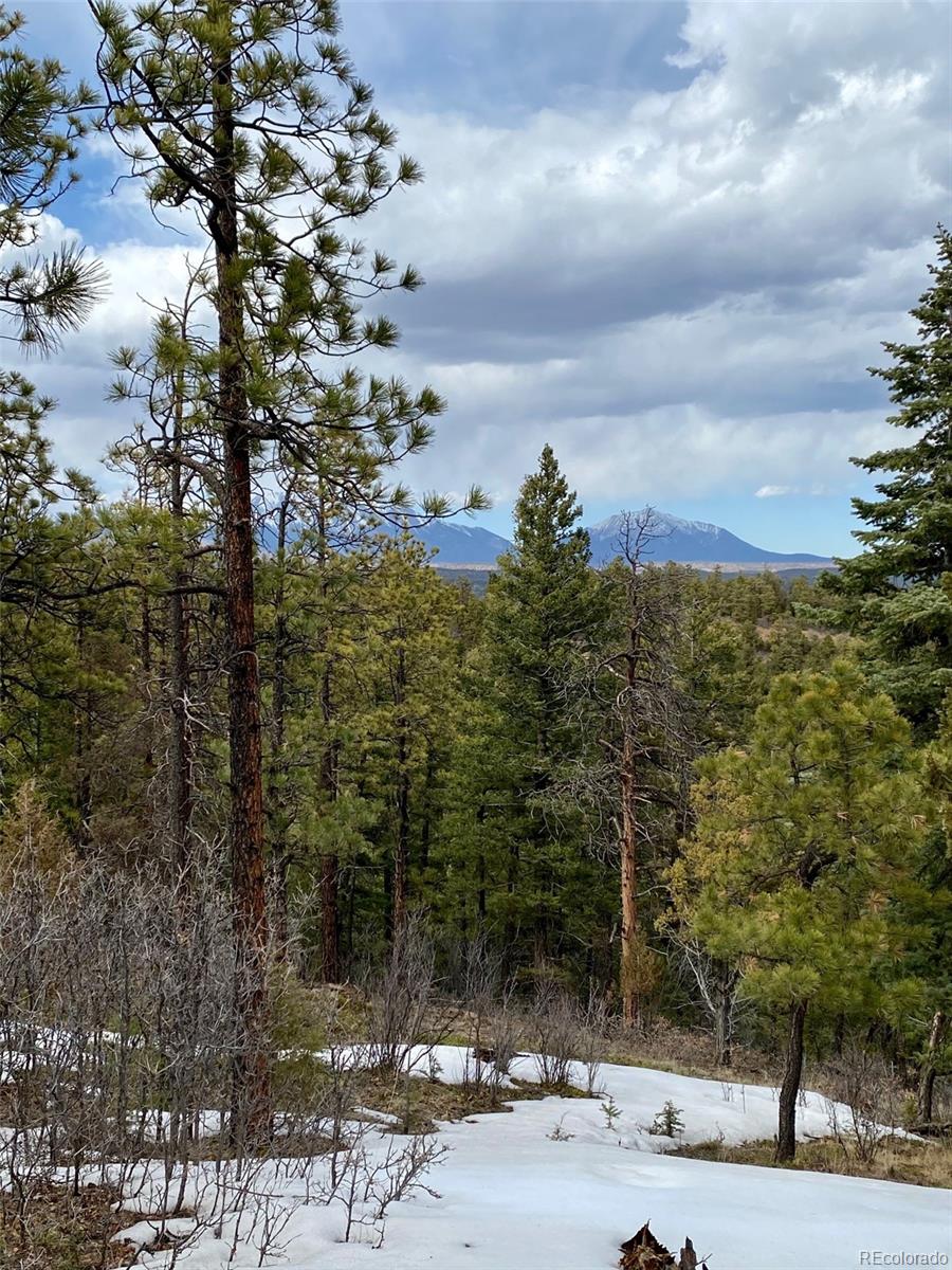 8115 Gun Barrel Ridge Weston, CO 81091 - Photo 7 of 24 Gallery Image 7