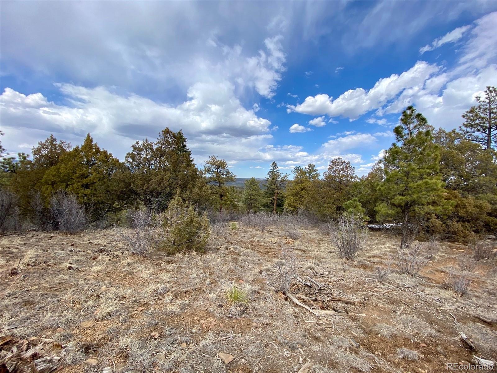 8115 Gun Barrel Ridge Weston, CO 81091 - Photo 8 of 24 Gallery Image 8