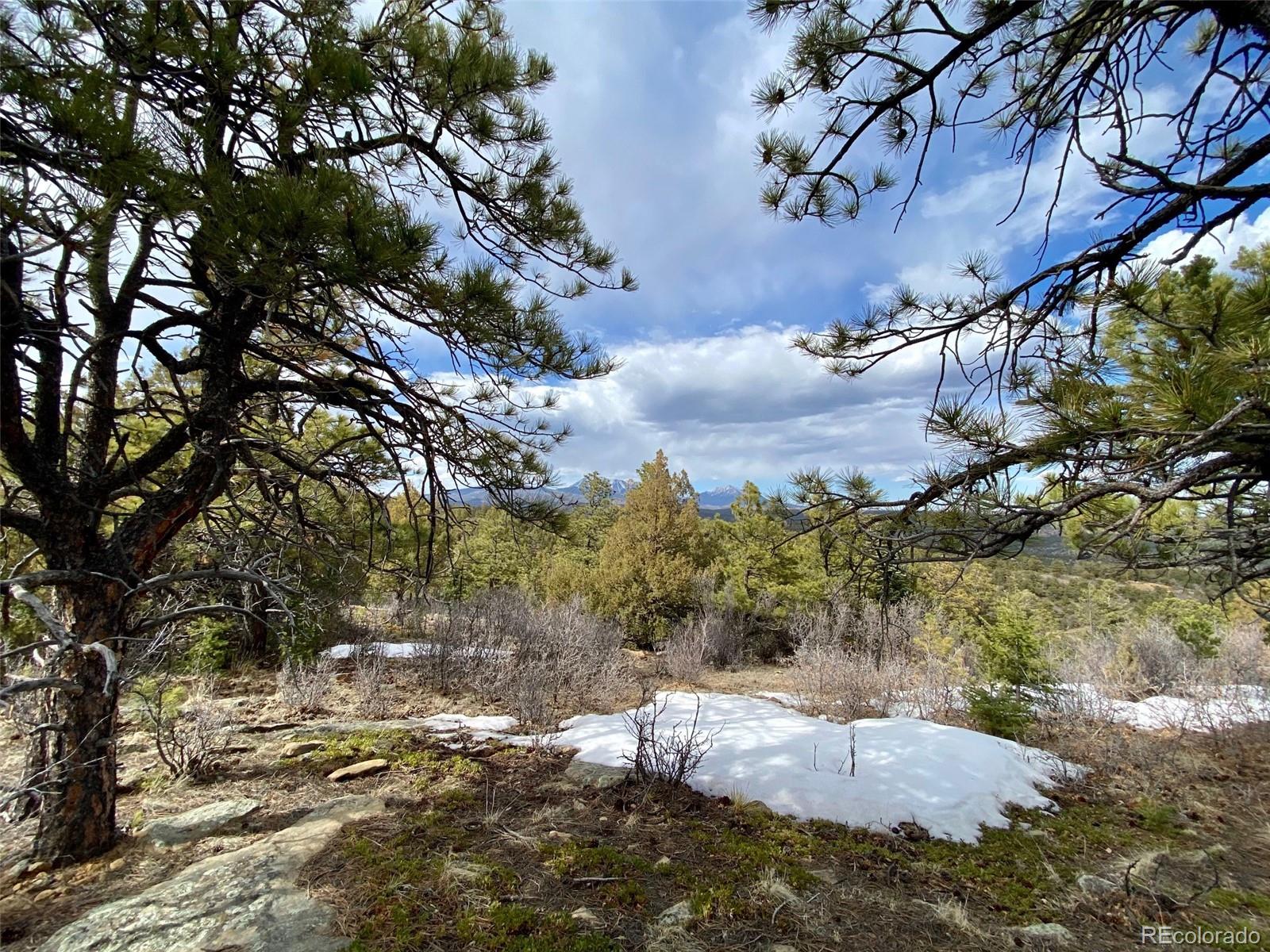 8115 Gun Barrel Ridge Weston, CO 81091 - Photo 9 of 24 Gallery Image 9