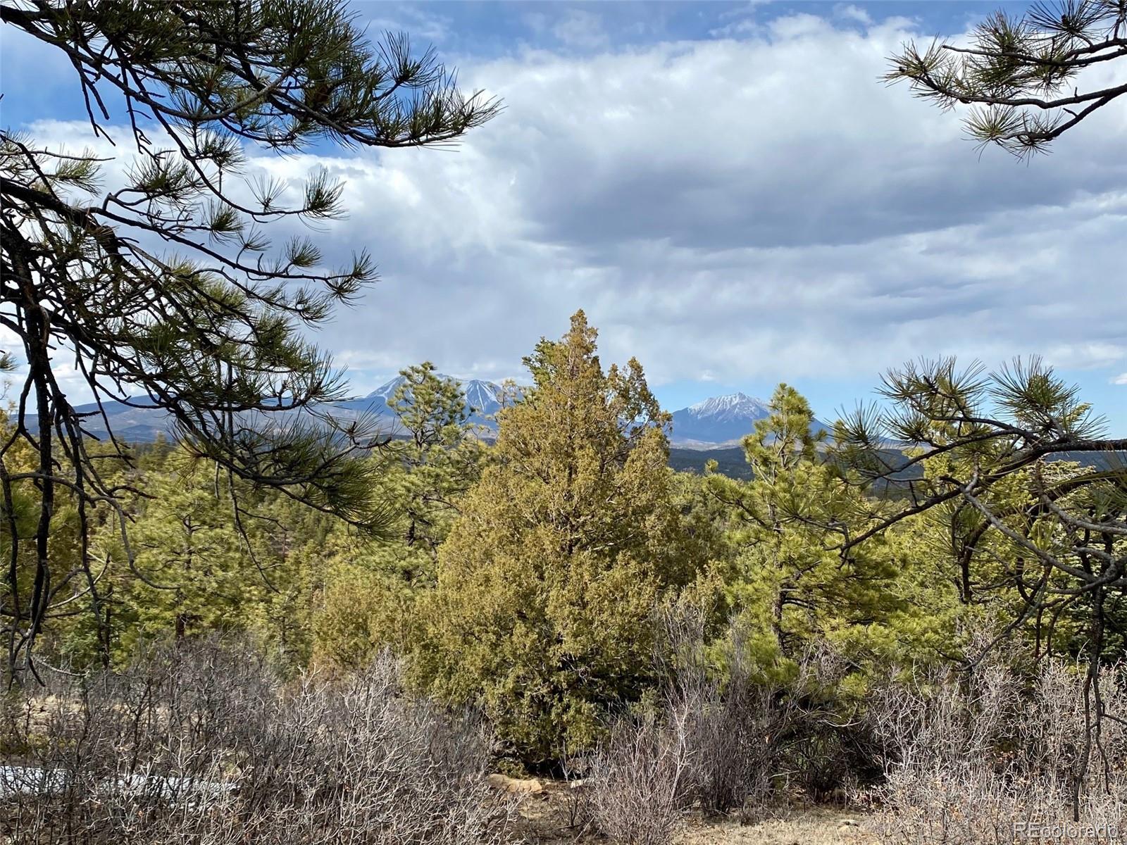 8115 Gun Barrel Ridge Weston, CO 81091 - Photo 10 of 24 Gallery Image 10