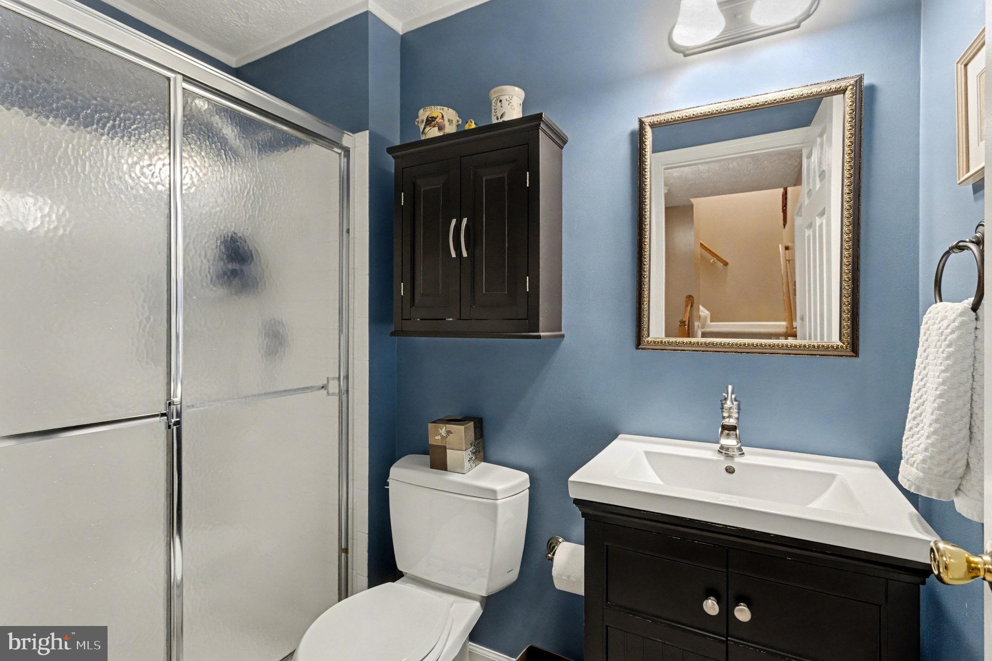 1161 Double Chestnut Court Curtis Bay, MD 21226 - Photo 20 of 32 Full Bath in Lower Level