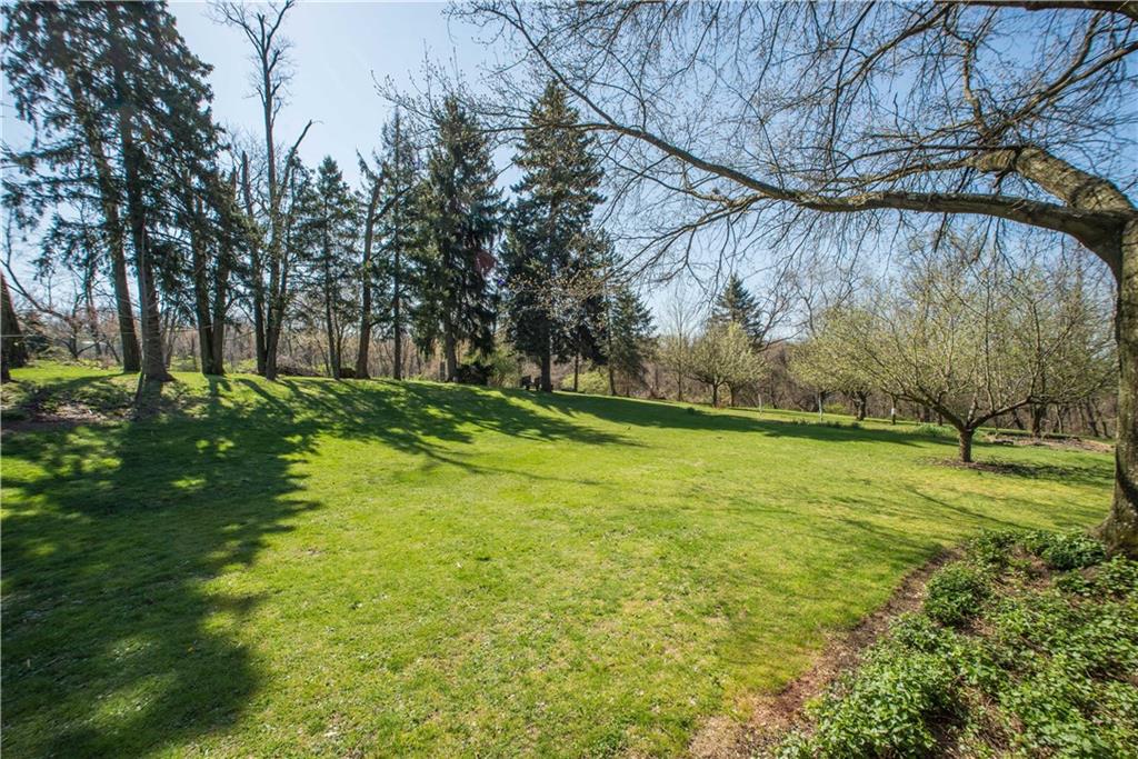 443 North Lewis Run Road West Mifflin, PA 15122 - Photo 24 of 25 The 2 acre lot has plenty of room for your garden and is lined with fruit trees!