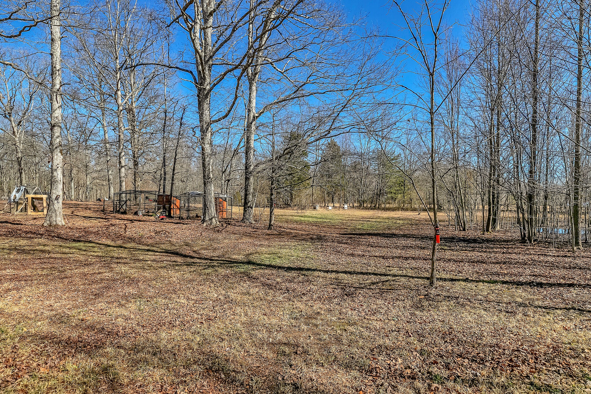 1116 Trussell Road Monteagle, TN 37356 - Photo 28 of 30 Gallery Image 28