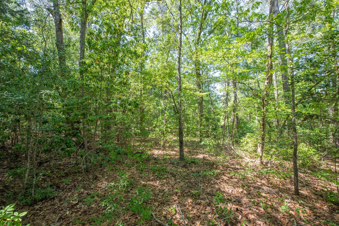 1 Yarborough Road Hope Mills, NC 28348 - Photo 7 of 10 Photo 7