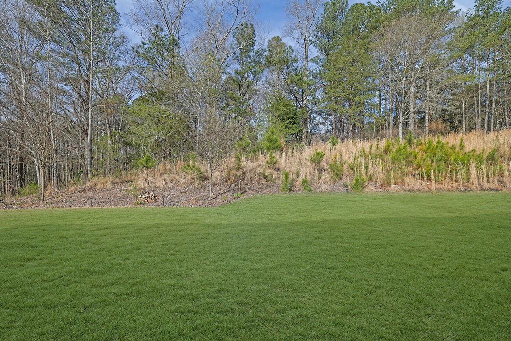 2865 Ferncliff Street Cumming, GA 30028 - Photo 39 of 41 a view of a field with trees