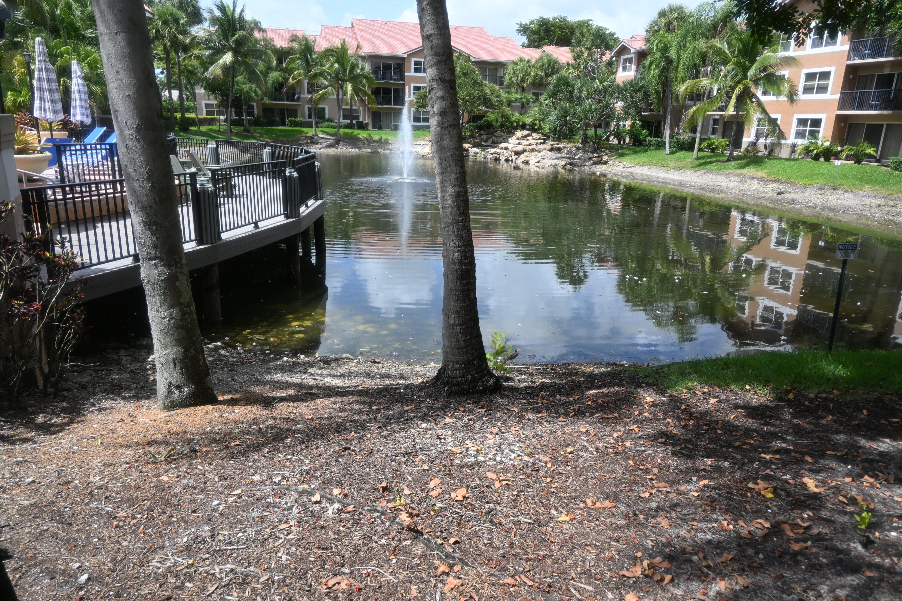 8721 Wiles Road, Unit 305 Coral Springs, FL 33067 - Photo 54 of 73 DSC_2059