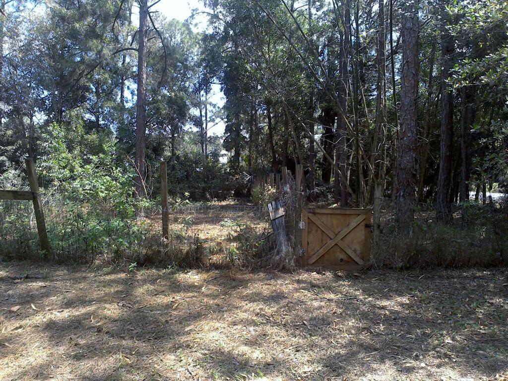 13599 155th Place North Jupiter, FL 33478 - Photo 19 of 22 yard