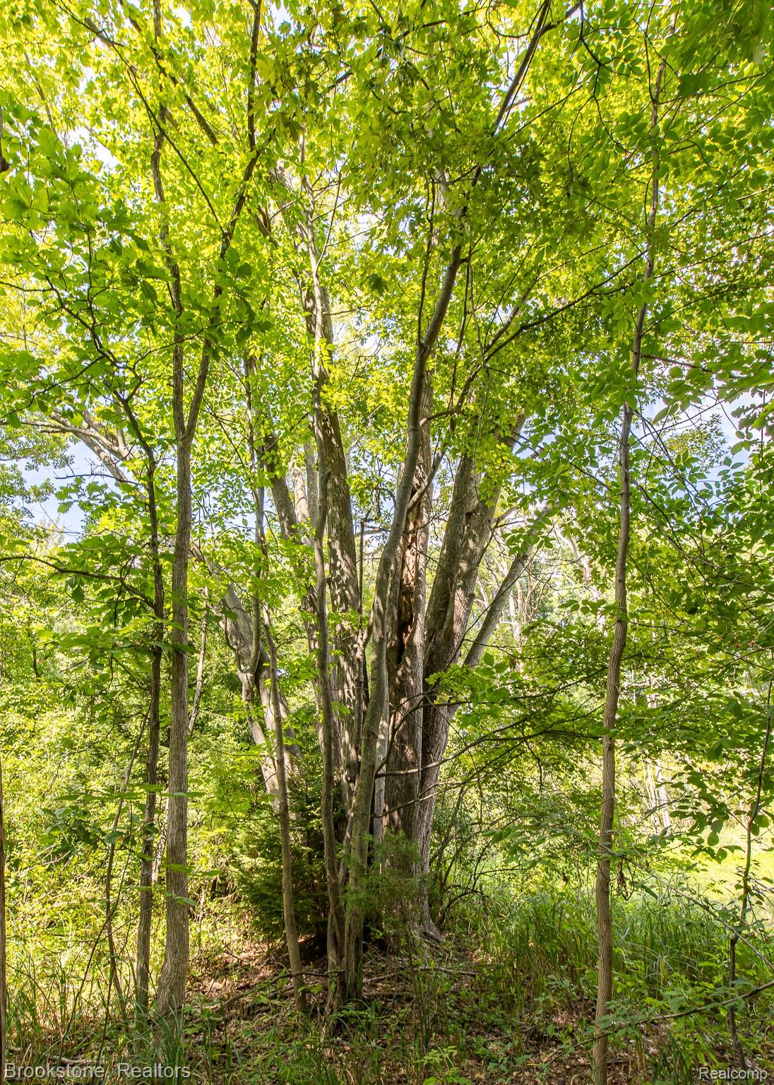 0 Allen Road Clarkston, MI 48348 - Photo 9 of 30 Allen Rd Vacant Land-8.jpg