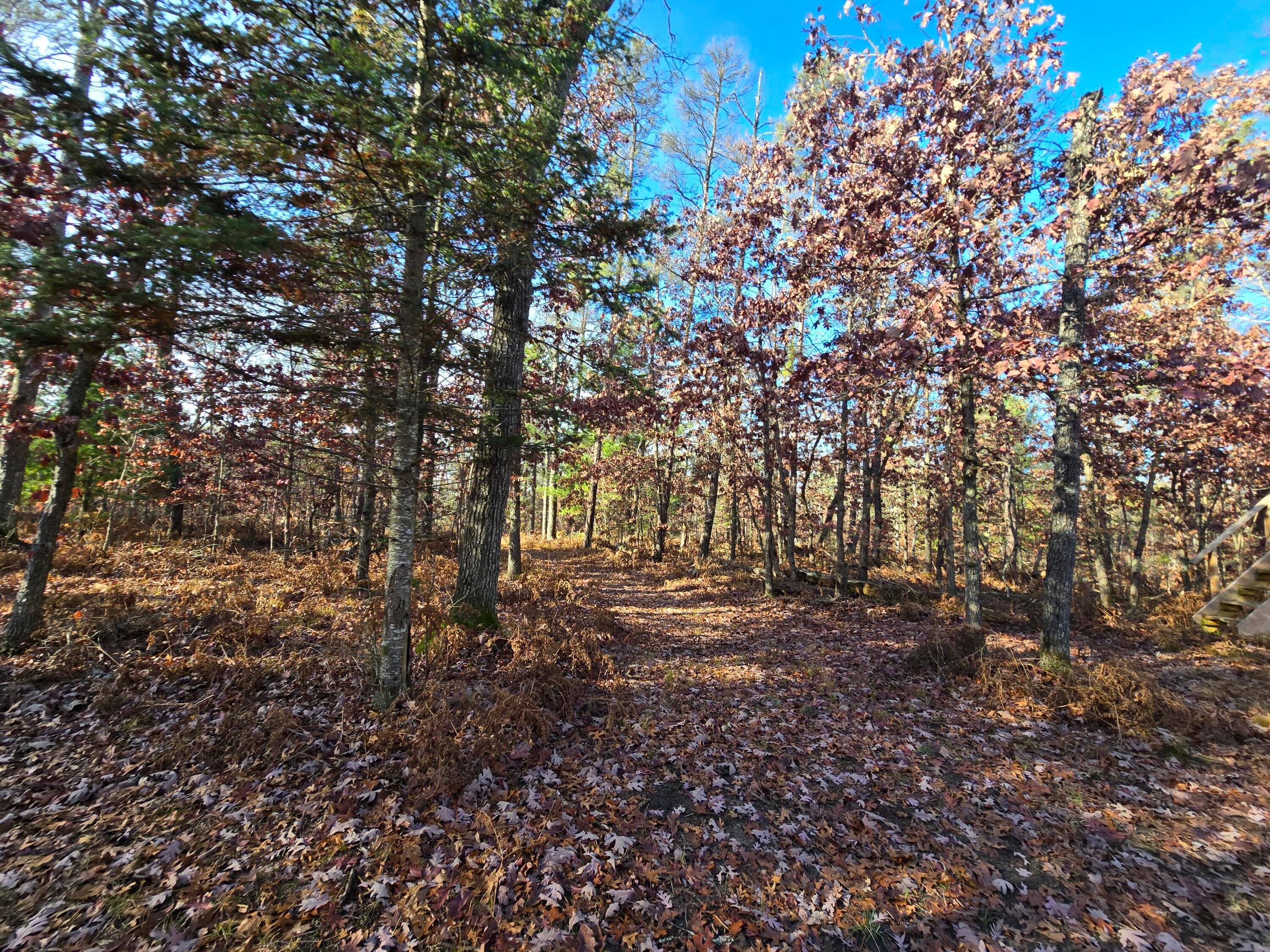 1500 Hardy Grade Road Curran, MI 48728 - Photo 72 of 81 Gallery Image 72