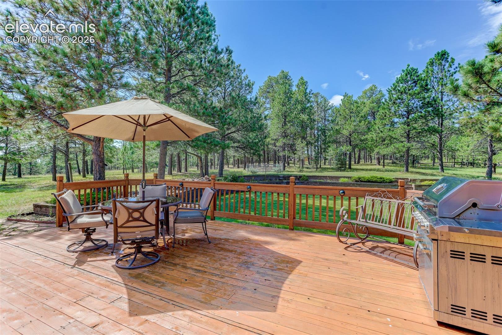 View from back deck at back yard.