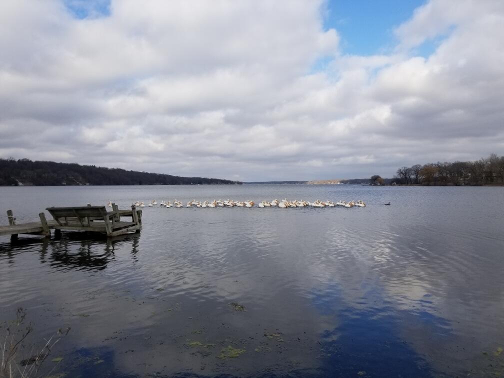 4222 Maple Drive Delavan, WI 53115 - Photo 27 of 44 Delavan Lake