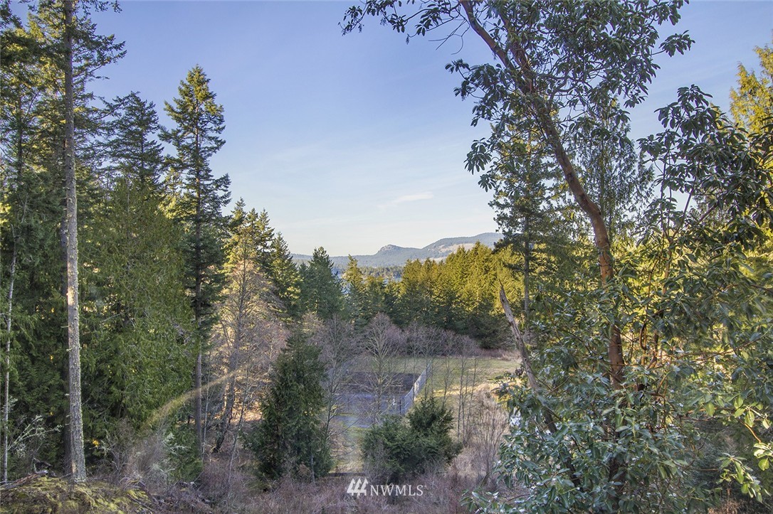 1090 Ben Nevis Loop Road Shaw Island, WA 98286 - Photo 18 of 21 Gallery Image 18