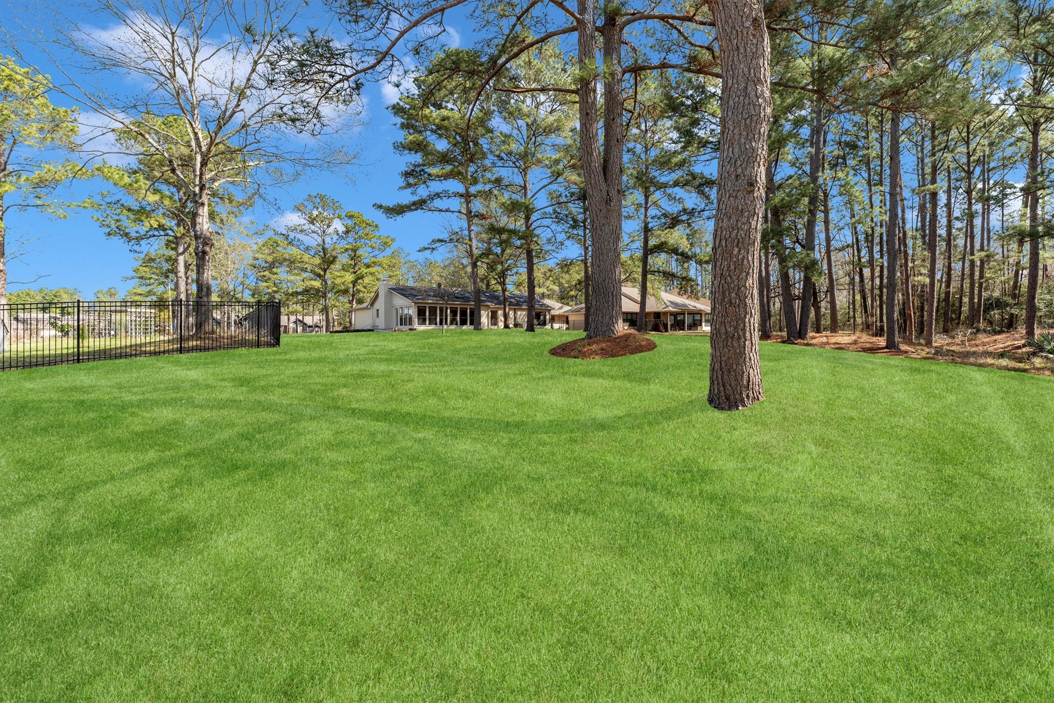 22509 Pebble Beach Way Point Blank, TX 77364 - Photo 39 of 50 a view of a trees with a house in the background