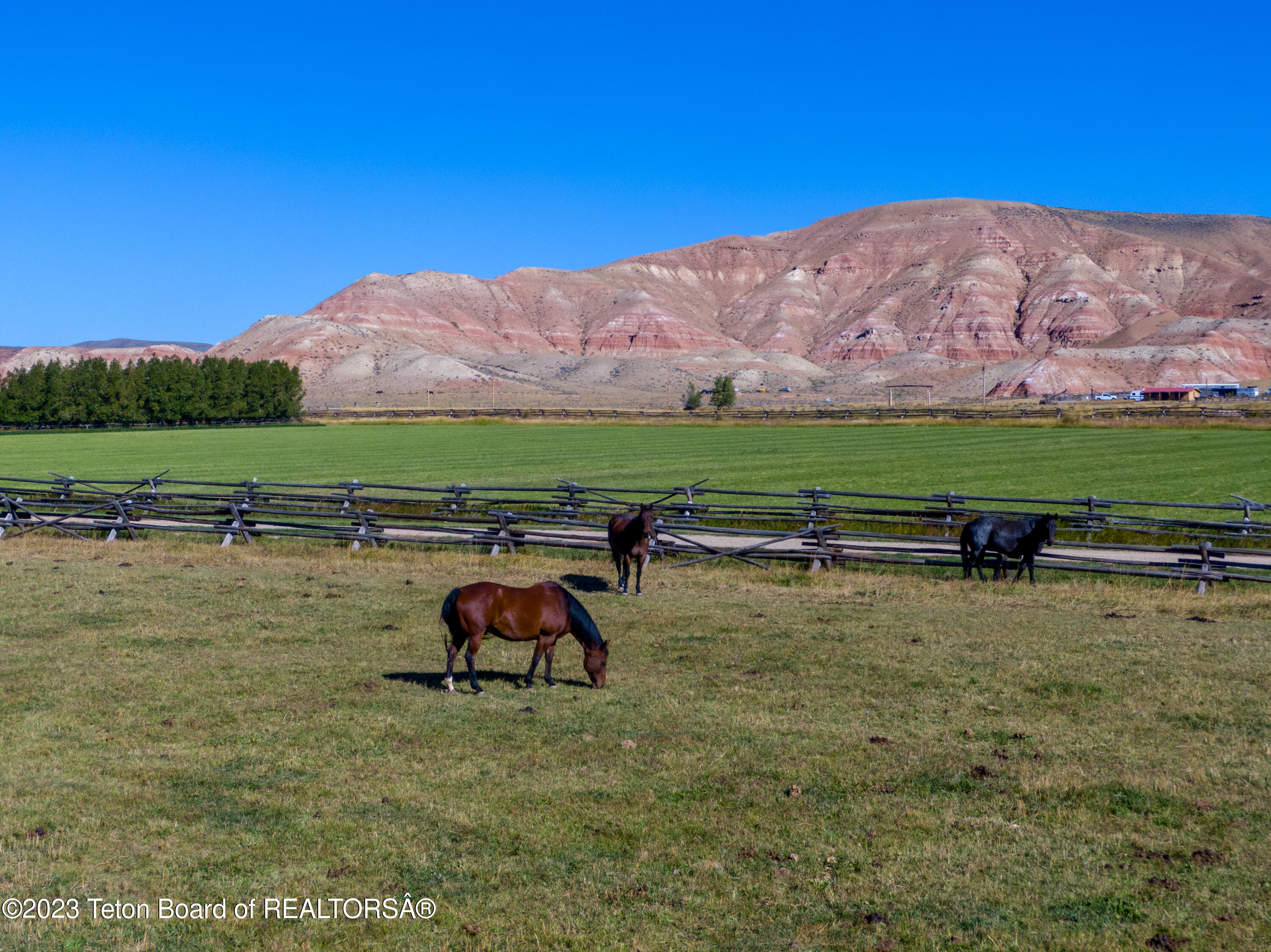 17 Rocking Chair Road Dubois, WY 82513 - Photo 22 of 34 12. Horses