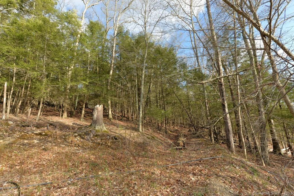 Lot 25 Lot Road Southbury, CT 06488 - Photo 1 of 1 a backyard of a house with lots of green space