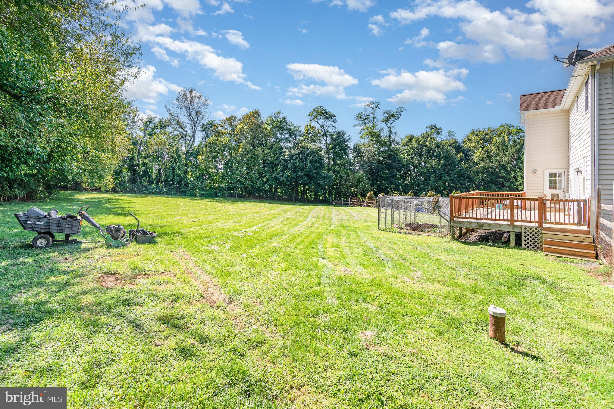 7 Beverly Court Carlisle, PA 17015 - Photo 24 of 25 Spacious backyard with lush greenery.