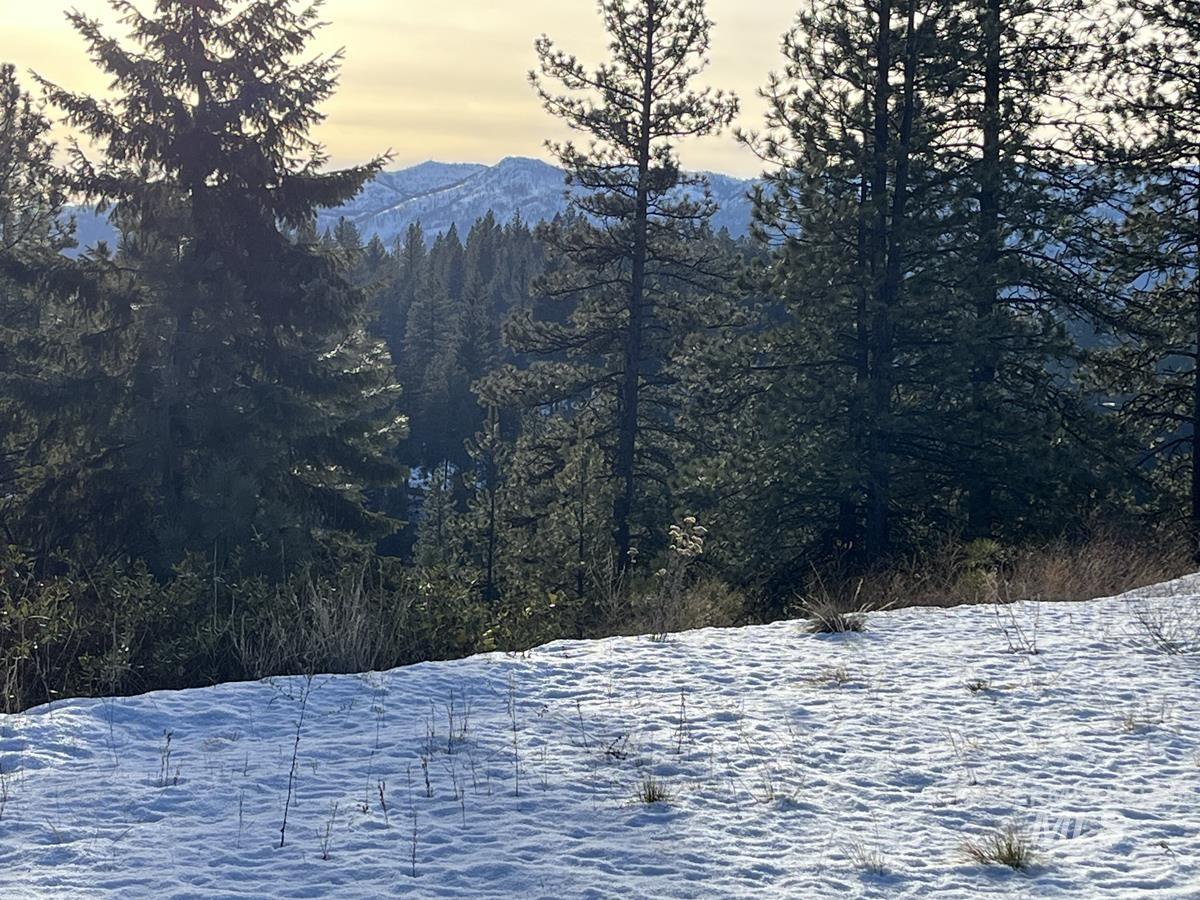 11 Augustus Way Cascade, ID 83611 - Photo 1 of 13