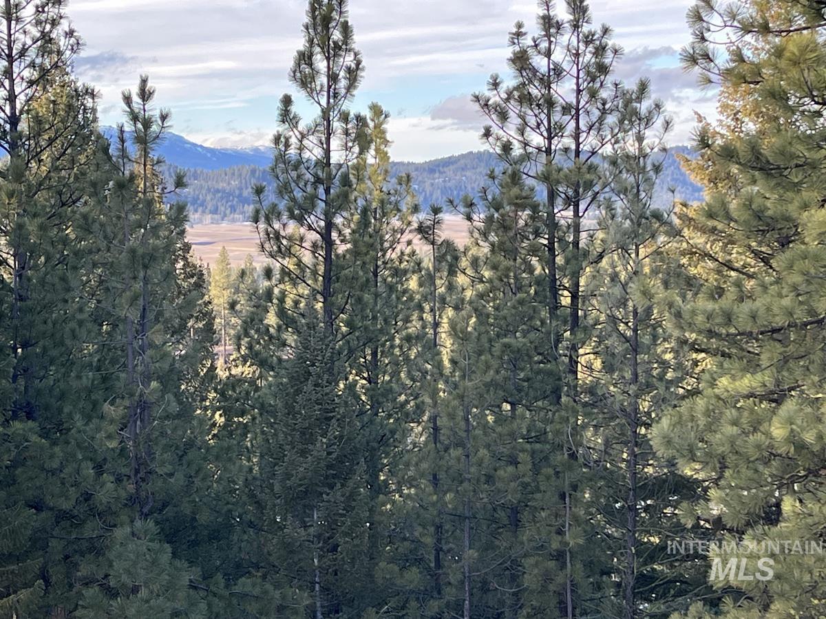 11 Augustus Way Cascade, ID 83611 - Photo 4 of 13