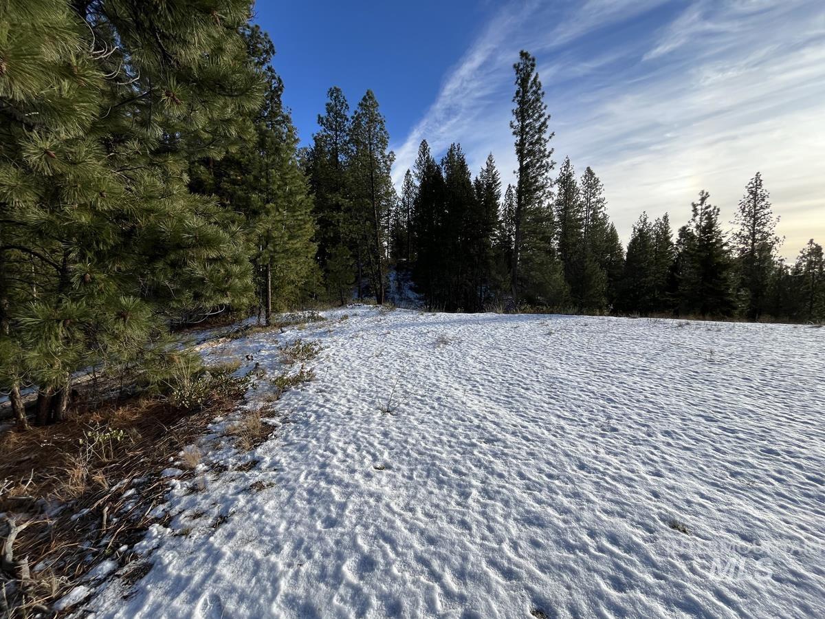 11 Augustus Way Cascade, ID 83611 - Photo 9 of 13