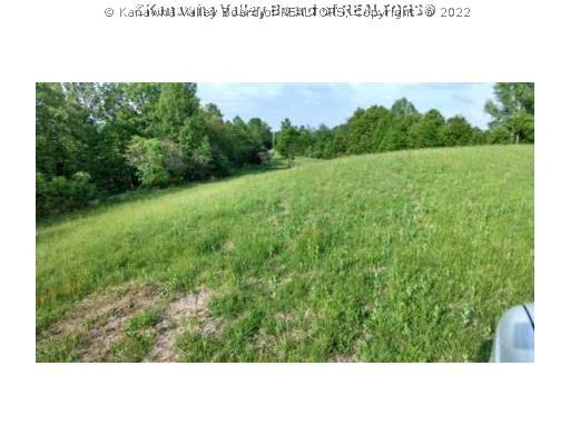 0 Jim Ridge Road Liberty, WV 25124 - Photo 5 of 29 Land.