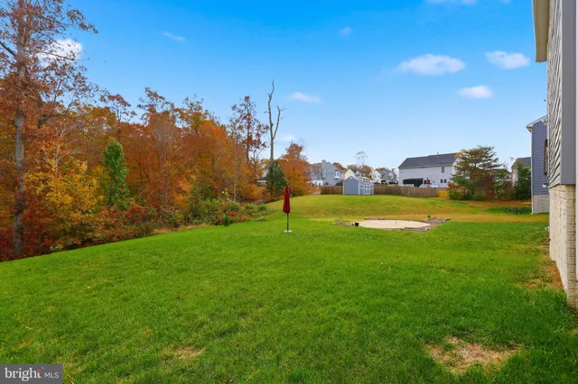 a view of a backyard with a small cabin