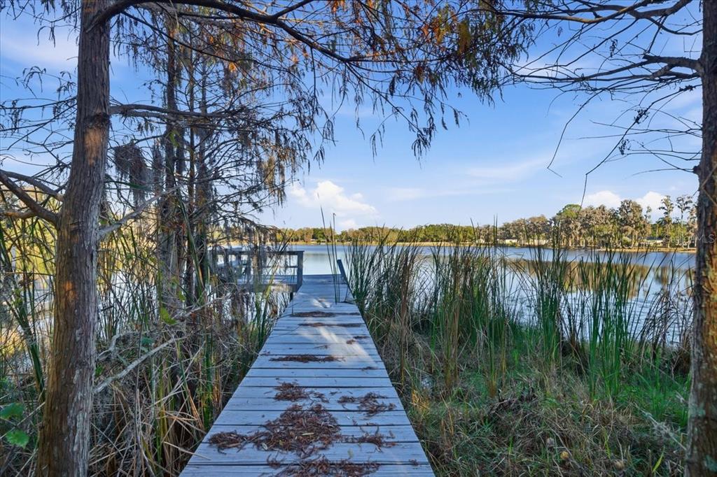 16921 Crawley Road Odessa, FL 33556 - Photo 16 of 53