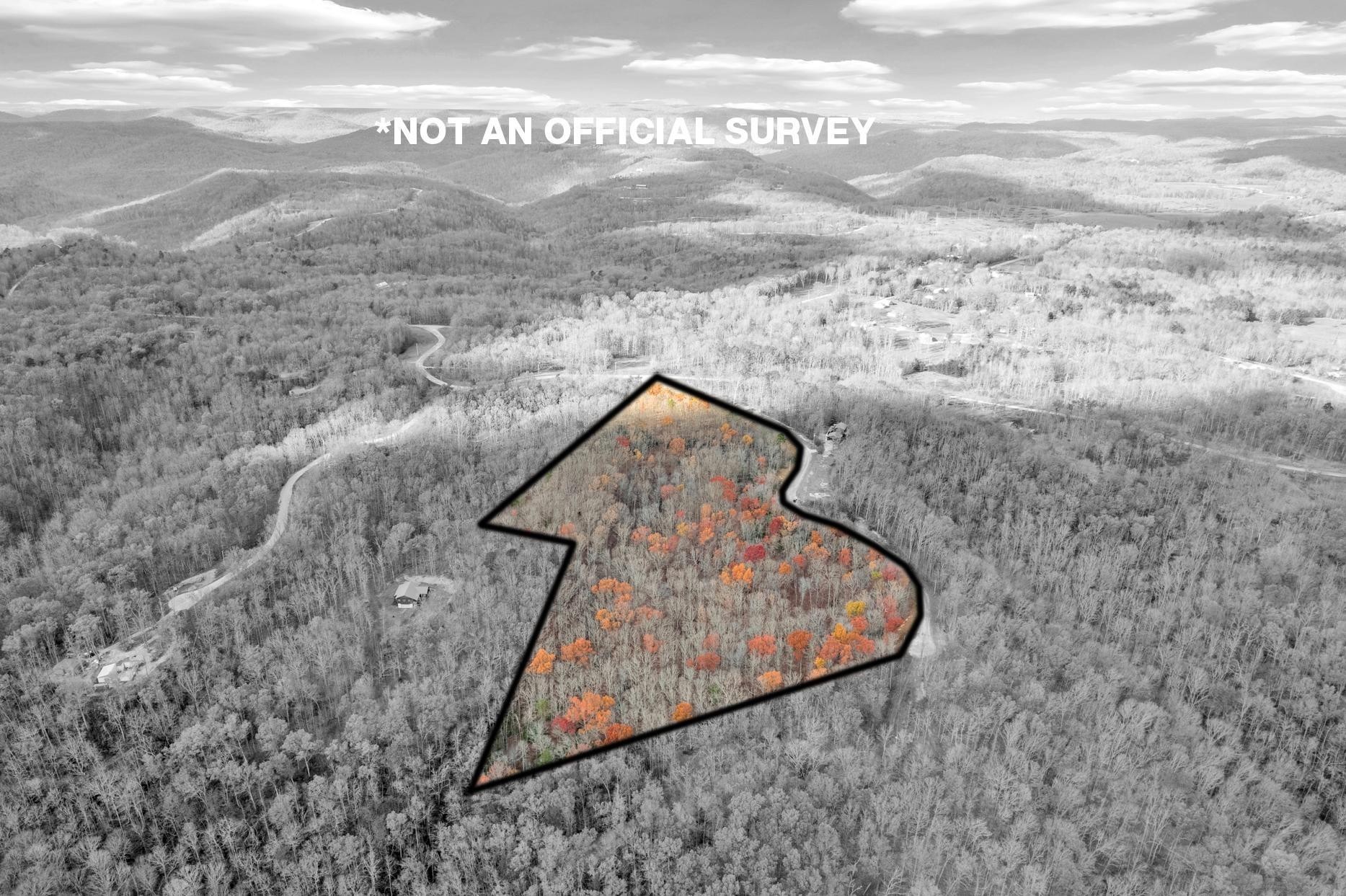 0 Homestead Lane Crawford, TN 38554 - Photo 12 of 14 a view of a wooden door