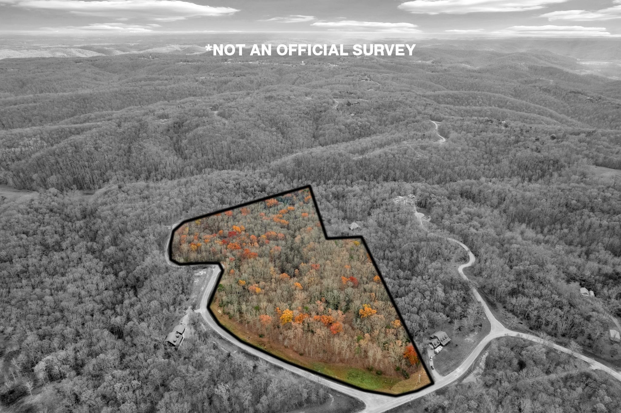 0 Homestead Lane Crawford, TN 38554 - Photo 13 of 14