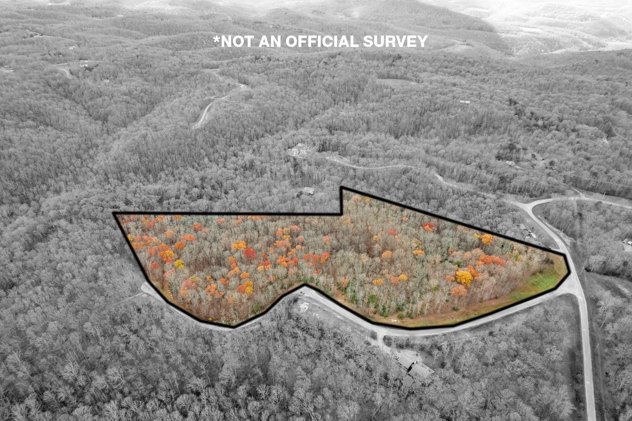 0 Homestead Lane Crawford, TN 38554 - Photo 14 of 14 a view of entryway