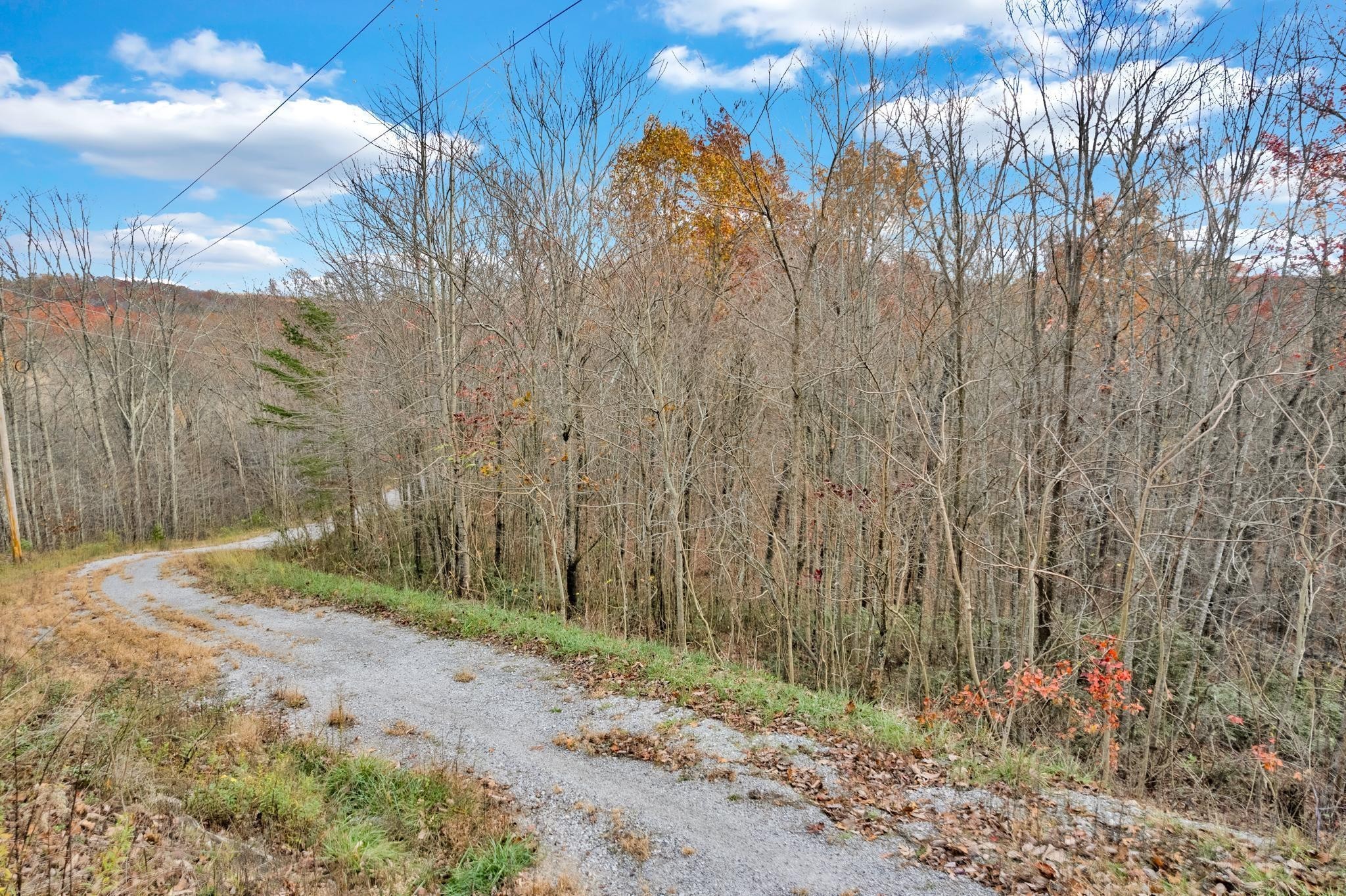 0 Homestead Lane Crawford, TN 38554 - Photo 3 of 14 a view of backyard with tree