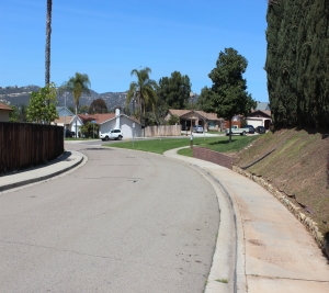 1451 Brook Road San Marcos, CA 92069 - Photo 20 of 24 View down the street from the home showing the attractive, tree-lined streets and one of the private parks on right.